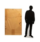 Chinese Landscape Painting   Zhou Chen           -1535   Ming Dynasty  1368-1644 