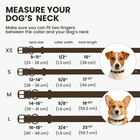 Bronzedog Rolled Leather Dog Collar With Qr Id Dog Tag Round Personalized Pet C