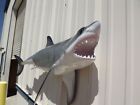 53  Great White Shark Two Sided Shark Mount Replica - Ships In 2 Weeks