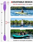 Adjustable Kayak Paddle Carbon Fiber Shaft Nylon Blade