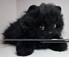 Ty Onyx Cat Realistic Black Persian Plush Floppy 2000 Yellow Eyes 18  Long Vtg