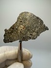 Nwa 17611 Beautiful Diogenite Meteorite 21 3 Gram Polished Slice W  Anorthosite
