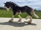 Breyerfest 2023 Fva s Grand Design Limited Edition Portrait Horse