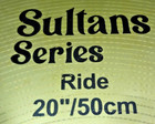 Rhythm Bytes Sultans Series 20  Ride Cymbal Drum Drumming Kit - Free Shipping   