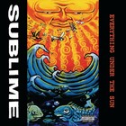 Sublime Everything Under The Sun Banner Huge 4x4 Ft Fabric Poster Tapestry Flag