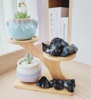 Luckeeper 2lb Rough Black Obsidian Quartz Crystals Healing Stones Bulk Raw