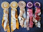 Sleepy Hollow Horse Show Ribbons Awards  norman Thelwell  artwork Center Buttons