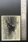 Wwii Japanese Military Photo Card  20943