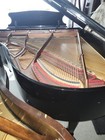 Young Chang Grand Piano