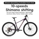 Rockbros Mt400 29  Wheels Mountain Bike 10 Speed Front Suspension Aluminum Frame