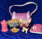 Lps  1    2 Littlest Pet Shop Puppy Dogs Chihuahua   Pug Rare Vintage Puppies