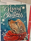 Dog Holiday Christmas Greeting Cards Set Of 5 New