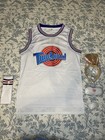 Men   s Space Jam Tune Squad Lola Bunny  10 White Basketball Jersey Medium Costume