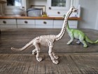 Vintage 1992 Ukrd Brachiosaurus Figure   Matching Skeleton Lot Set Dinosaur Vgc