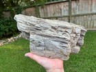 Texas Petrified Fossil Wood Large 13x5x3 Log Piece With Fine Druzy Crystals