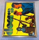 The Doors  Carnival Fair Prize  Mirror  Plastic  C  1980  Vintage  8 X 10 Inches
