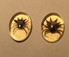 Vintage Spider In Resin Small 1    Set Of 2