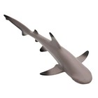 Blacktip Reef Shark Sea Life Figure Safari Ltd