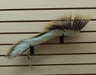 Beautiful Blue Hand Crafted Full 15  Native American Indian Porky Dance Roach