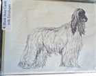 Afghan Hound 2 Piece Set-notepad  6 Blank Notecards   Linen Envs New