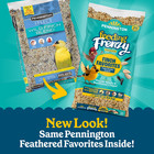 Feeding Frenzy Finch Favorite  Wild Bird Seed Mix  Bird Food  10 Lb