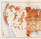 1900 United States - Foreign Population  Map Original  13x8 25 