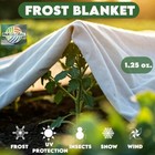 Pakglobal Frost Cloth 1 25 Oz     Protects Plants From Freeze  Frost  Snow   Wind