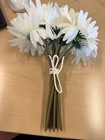Gerbera Daisy Bouquet 9 Stems 10in Cream