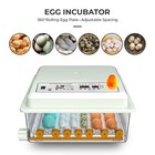     for 36 Digital Egg Incubator Hatcher Automatic Egg Turning Temperature Control