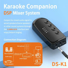 Ds-k1 Karaoke Companion Bluetooth 5 3 Wireless Moving-coil Microphone Ktv Dsp Mi