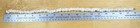 Vintage Hawaii Hawaiian Puka Shell Necklace Large 18    Barrel Screw Clasp Surf 
