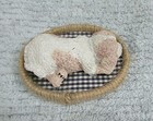 Clumber Spaniel Puppy 1990 s Sand Cast 3  Figurine On Hemp Rope Edge Bed Free Sh