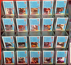 1991 Topps Terminator 2 Judgment Day Trading Card Lot     38 Cards   6 Promo Cards