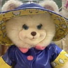 Vintage Fisher Price 10  Briarberry Lisaberry Plush Bear 2000 Htf Nib Raincoat