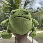 Ricky Rain Frog Plush Toy Super Soft Stuffed Animal Extra Cuddly Gifts For Kids