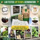 25 Herb Seeds Variety Pack - 11 700 Non-gmo Heirloom Seeds For Hydroponic   Gard