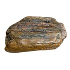 Texas Petrified Wood 1 9lb Specimen 5    Agatized Chert Jasper Lapidary Rough Rock