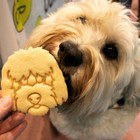 Goldendoodle Face Cookie Cutter - Cute Dog Treats Adoption Rescue Puppy Birthday