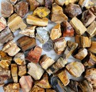 Rough Petrified Wood Crystals  Bulk Healing Gems   Fossil Stones For Tumbling