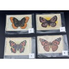 Assorted Antique Tokio Cigarettes Butterfly   Moth Silks