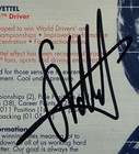       Sebastian Vettel  -  Red Bull renault  -  Signed  -  F1       6x4 Card