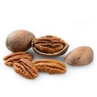 Newly Fresh Crops Pecans In Shell 5 Lb