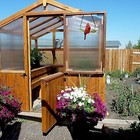 Cardinal Bird Stained Glass Window Hanging Cardinal Suncatcher Bird Deco