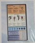 Medical Reference Notes Nursing Note With Adhesive - Peel   Stick - Pack Of 2