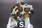 Sericho Pallasite Meteorite  Etched Full Slice Weight 4 8 Grams 1 25 Inch Usa