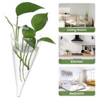 Yardwe Glass Wall Vase  Clear Succulent Planter  Hanging Plant Decor For Bedr   