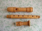 Moeck Rottenburgh 339 Alto Recorder  Boxwood  Curved Windway  Decorative   
