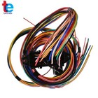 Universal Wire Harness 14 Circuit 14 Fuse 12v Street Hot Rat Muscle Rod Wiring