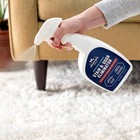 Rocco   Roxie Enzyme Stain Odor Eliminator Pet Urine Cleaner 32oz