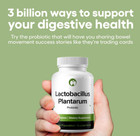     Lactobacillus Plantarum 240 Tablets 3billion Cfu Probiotic Digestive Ibs Suppo